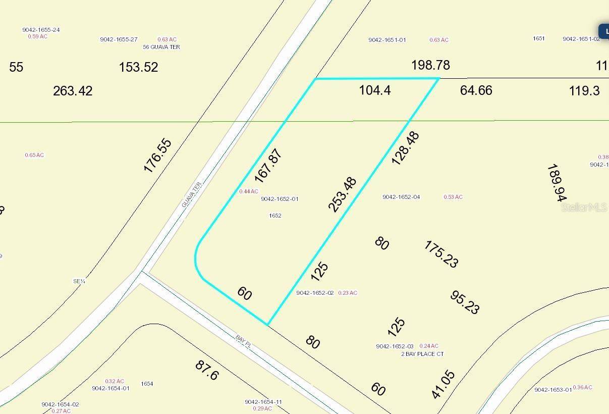 Ocklawaha, FL 32179,Lot 1 GUAVA TERRACE