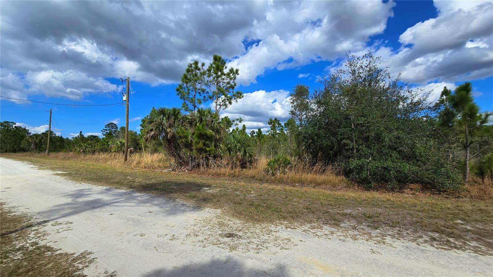 Punta Gorda, FL 33955,13516 CAROUSEL DR