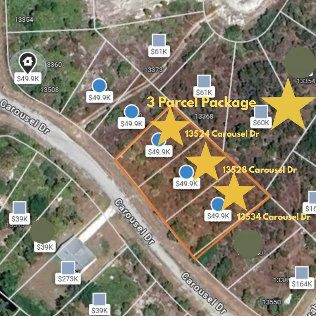 Punta Gorda, FL 33955,13534 CAROUSEL DR