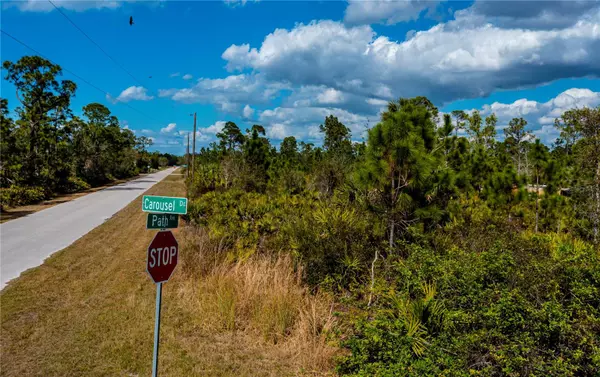 Punta Gorda, FL 33955,13534 CAROUSEL DR