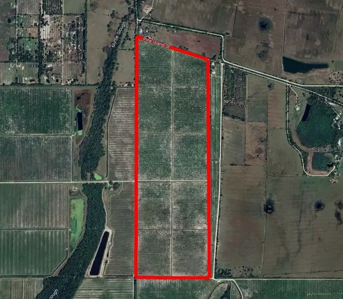 7019 SE PRAIRIE CREEK RD, Arcadia, FL 34266