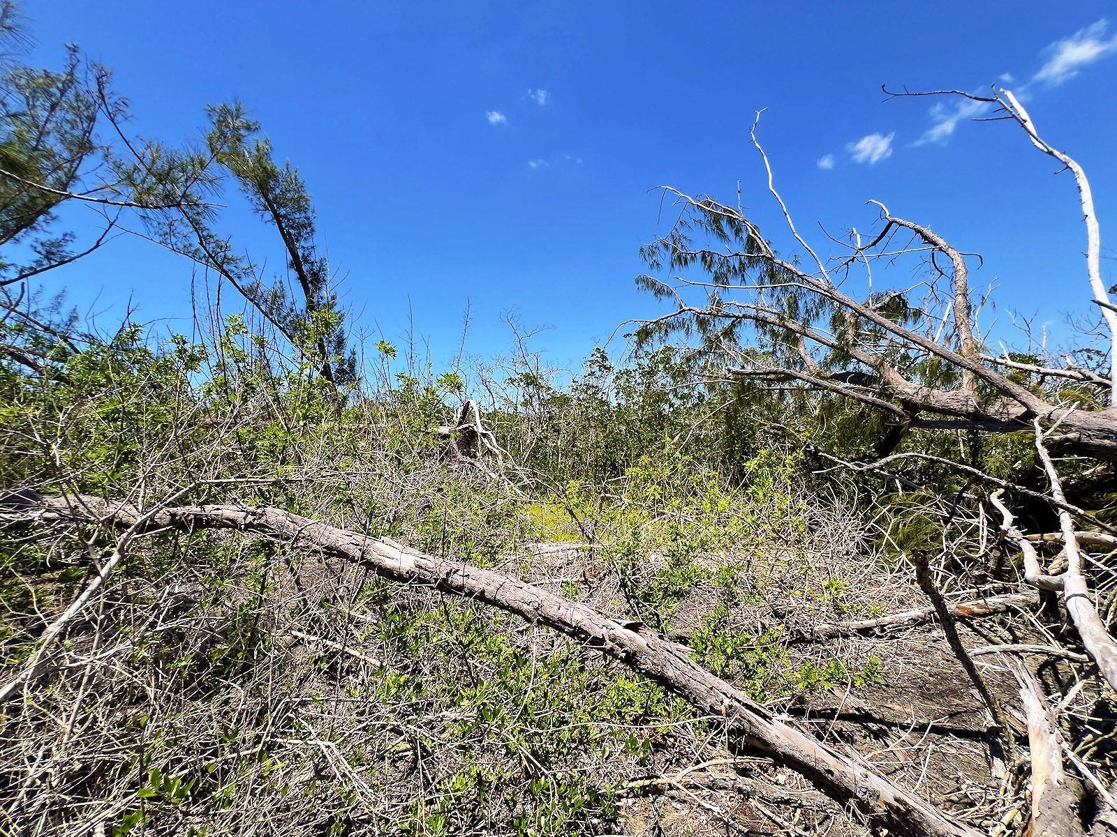 Englewood, FL 34223,THE ISLAND PROPERTY MANASOTA KEY
