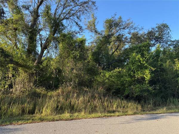 1799 NE VOSS OAKS CIR, Arcadia, FL 34266