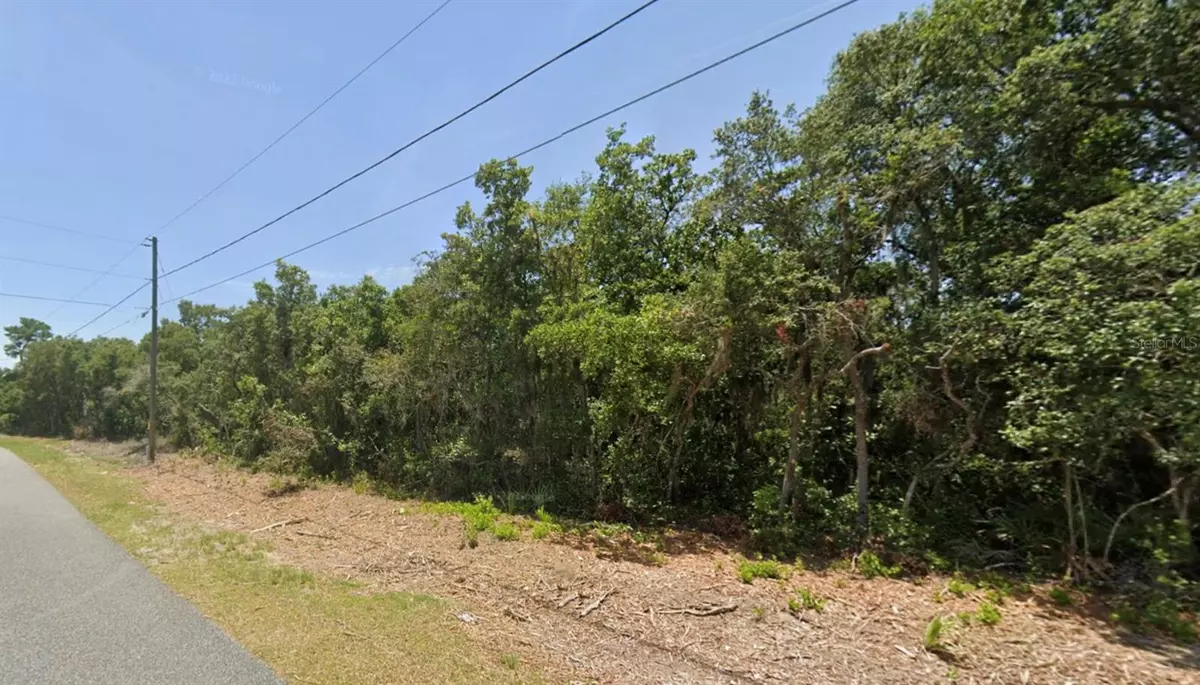 Ocala, FL 34472,OLIVE DR