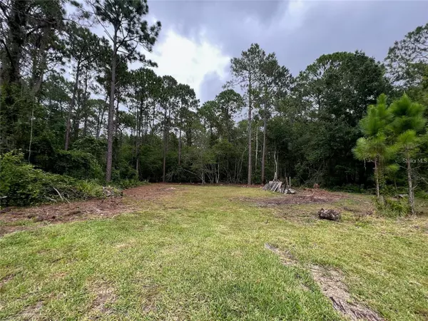 12955 RIO VISTA AVE, New Port Richey, FL 34654