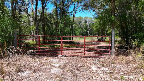 34281 UMBRELLA ROCK DR, Webster, FL 33597