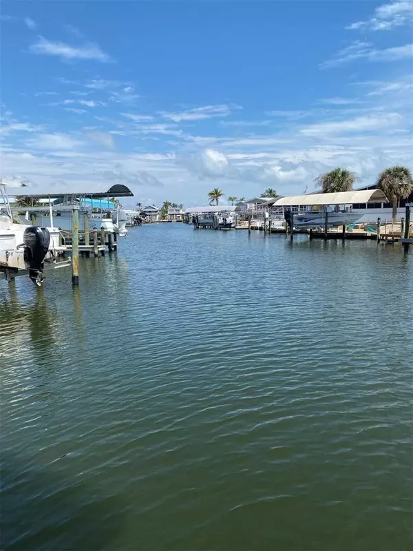 St James City, FL 33956,3821 BLUEBERRY LN