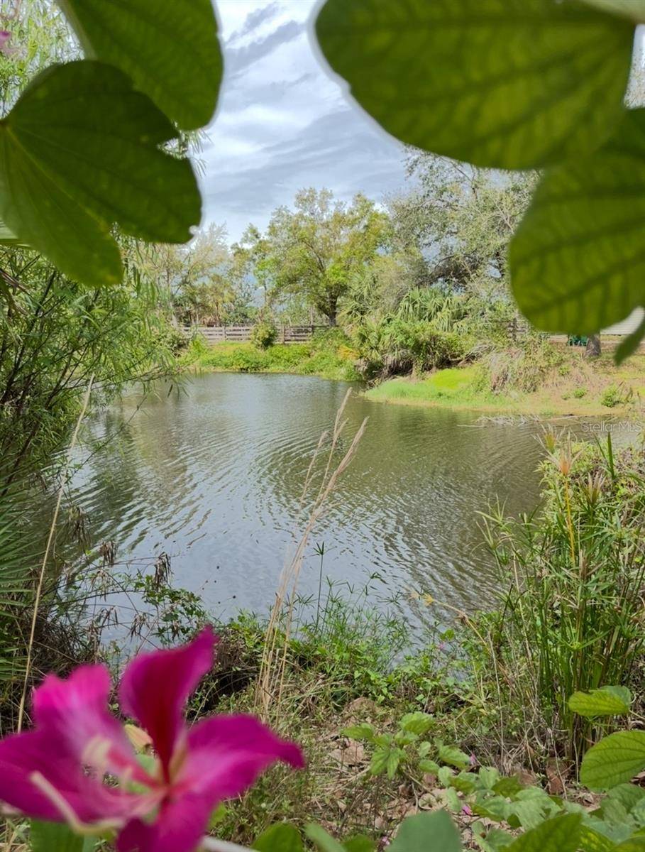 Punta Gorda, FL 33980,24499 NOVA LN