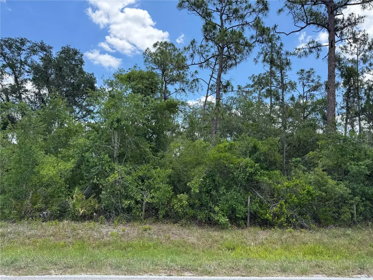 Arcadia, FL 34266,SW FLORIDA RD