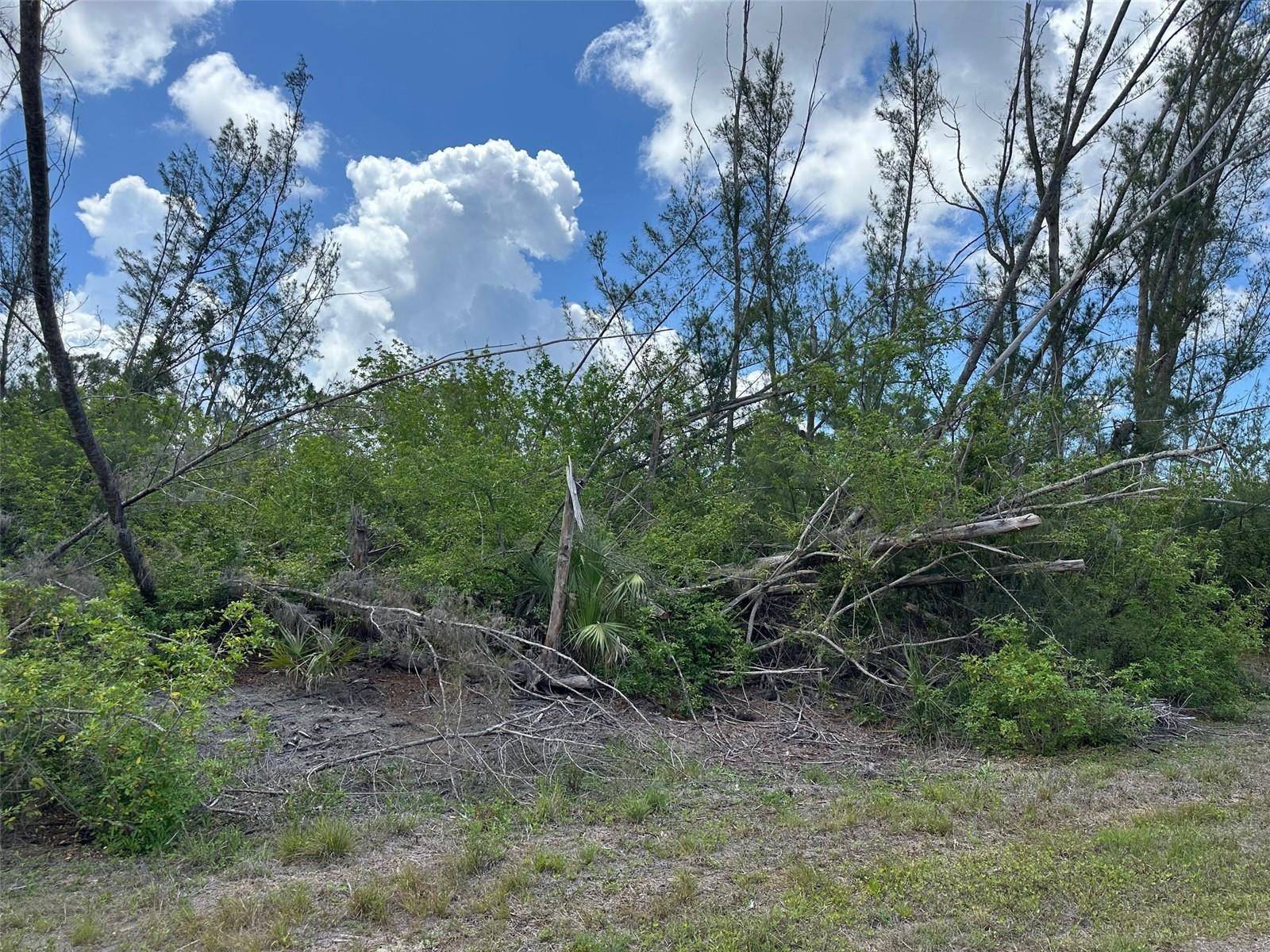 10792 HATCHET CIR, Port Charlotte, FL 33981