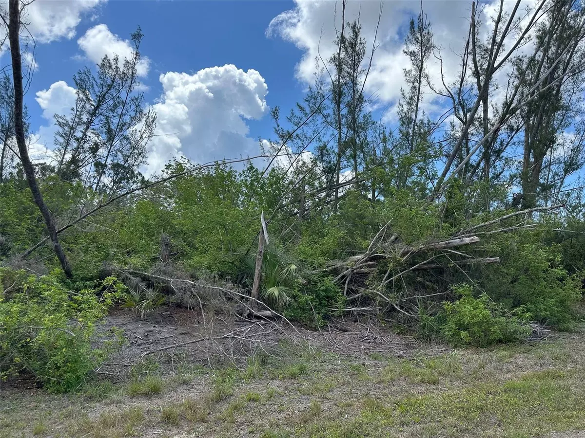 Port Charlotte, FL 33981,10792 HATCHET CIR