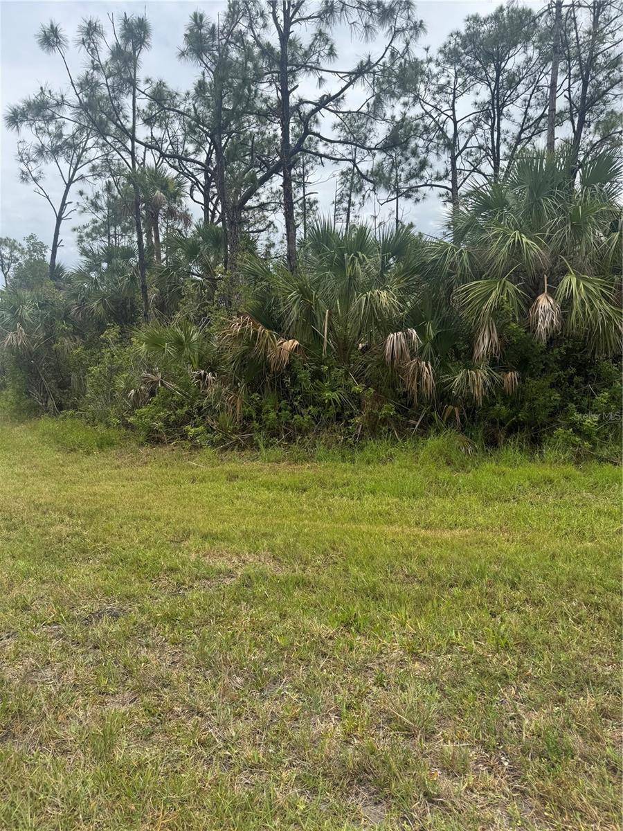Port Charlotte, FL 33981,12071 WADSWORTH AVE