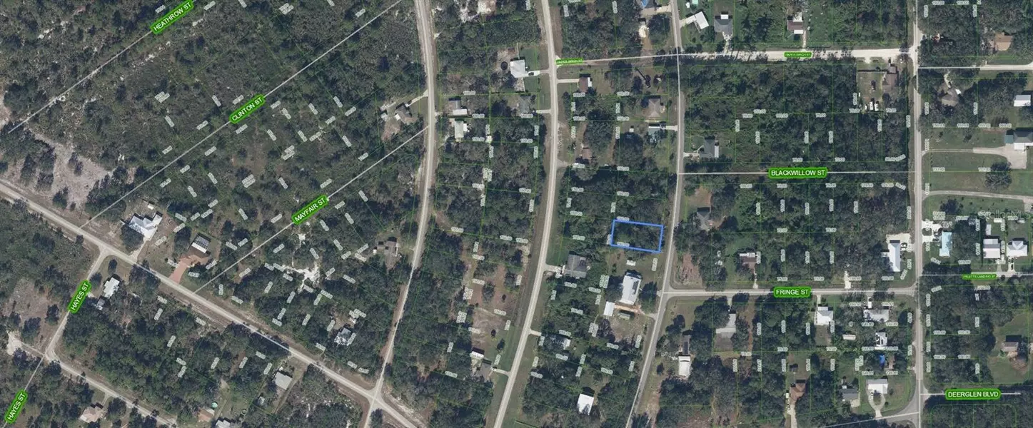 356 BOTTLEBRUSH AVE, Lake Placid, FL 33852
