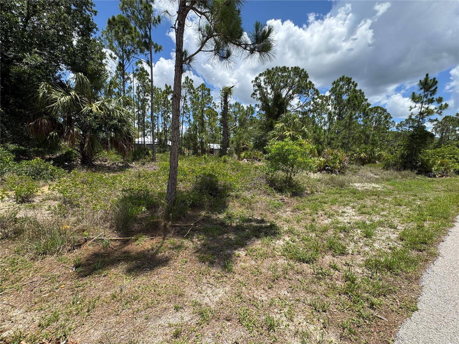 Punta Gorda, FL 33955,13384 SULKY DR