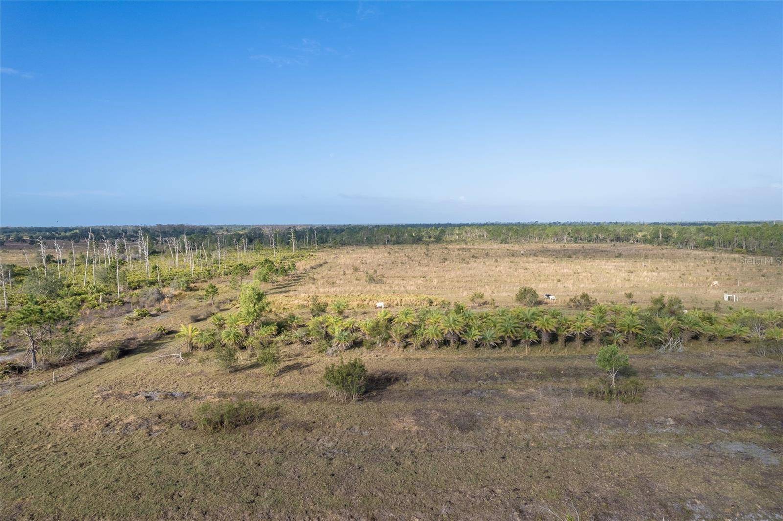 Punta Gorda, FL 33955,12252 BURNT STORE RD