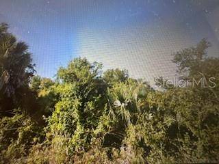 Port Charlotte, FL 33981,7154 FREEBERG CIR
