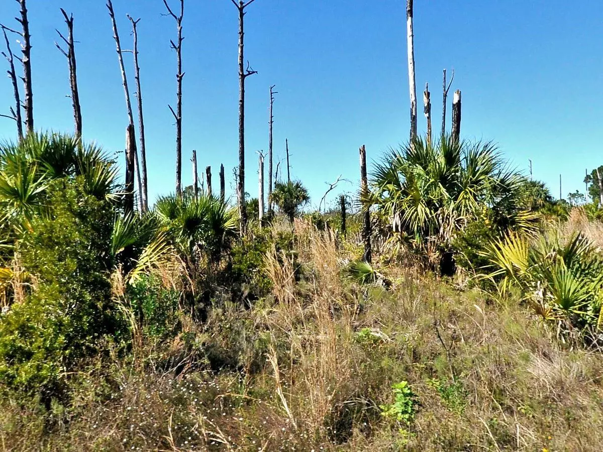 North Port, FL 34288,EWEN LOT #17 CIR