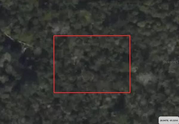 RIEGEL (PAPER) AVE, Orange City, FL 32763