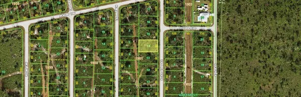 Port Charlotte, FL 33981,4363 SCHNEIDER ST