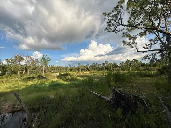 Punta Gorda, FL 33982,7257 SWEDEN BLVD