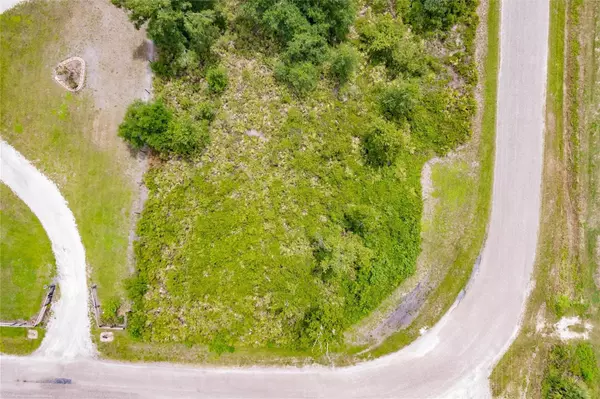 Arcadia, FL 34266,SW GATOR TRL