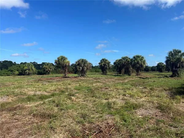 Punta Gorda, FL 33982,7241 AUSTRIAN BLVD