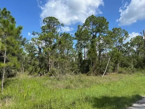 Punta Gorda, FL 33955,13036 APACHE DR