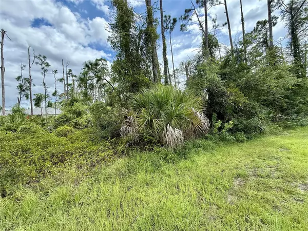 North Port, FL 34288,DRAGONFLY AVE