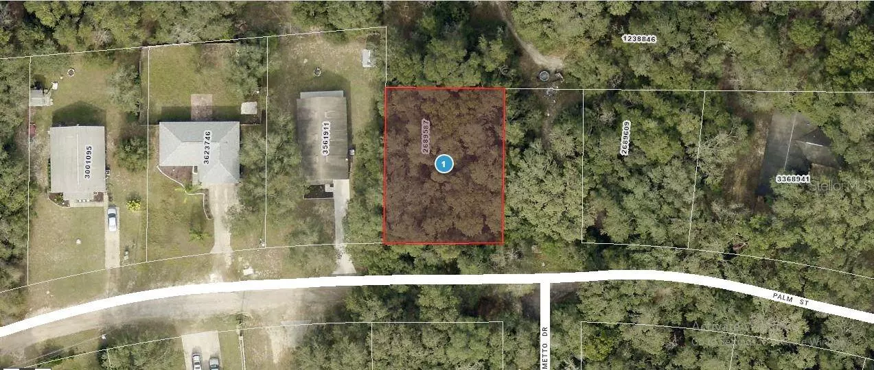 PALM ST, Lady Lake, FL 32159
