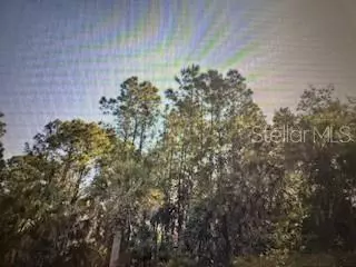 Punta Gorda, FL 33983,2299 DUMONT DR