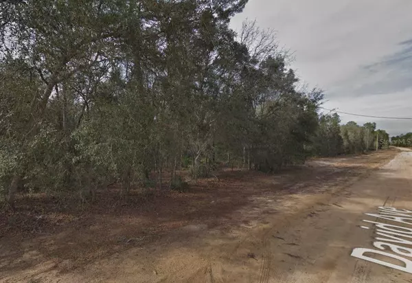 Interlachen, FL 32148,917 DAVID AVE