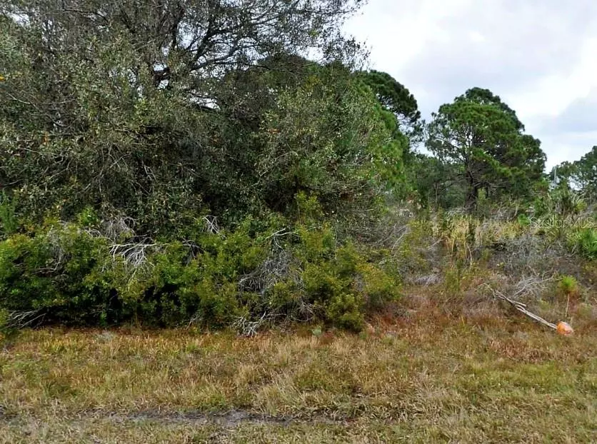 North Port, FL 34291,HORNBUCKLE BLVD