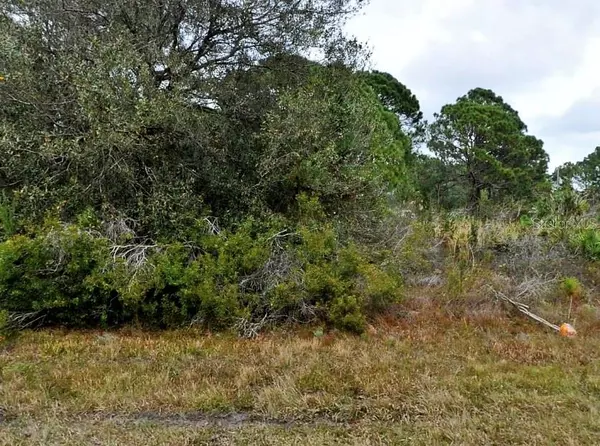 HORNBUCKLE BLVD, North Port, FL 34291