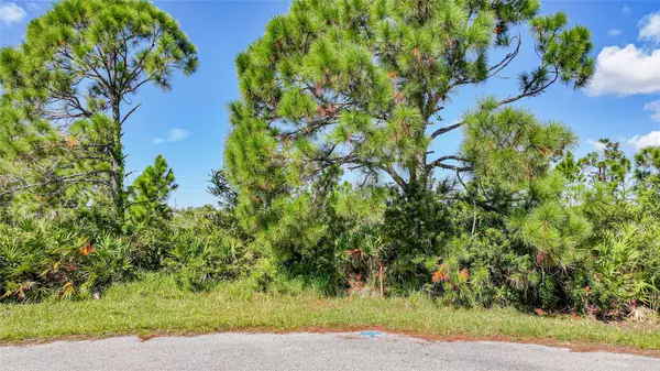 Placida, FL 33946,12 DOG CT