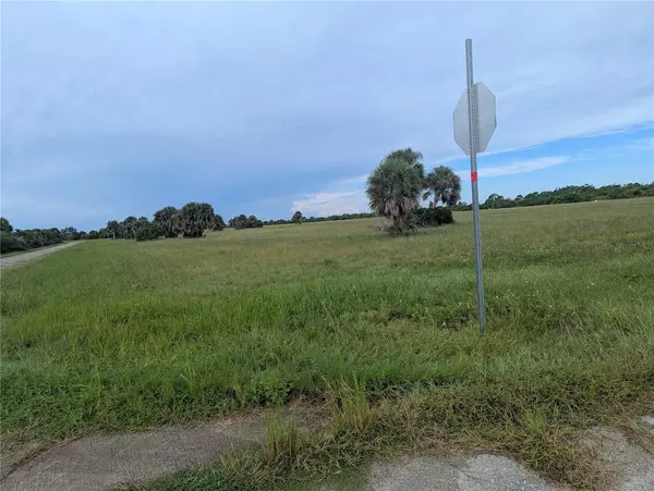 Placida, FL 33946,12451 FILEFISH CT
