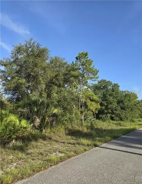 1304 IRVING AVE, Lehigh Acres, FL 33972