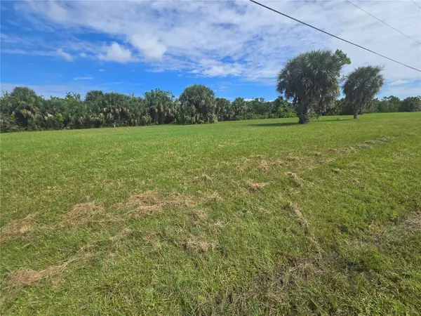 Punta Gorda, FL 33955,16963 ACAPULCO RD