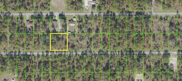 Dunnellon, FL 34431,NW SKYLARK LN