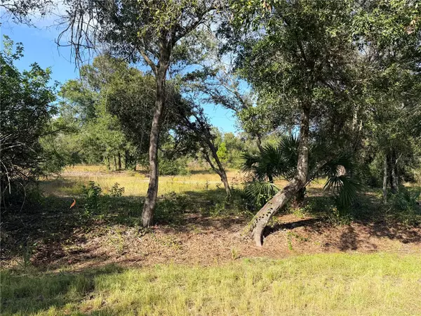 Punta Gorda, FL 33955,13263 BANYAN DR