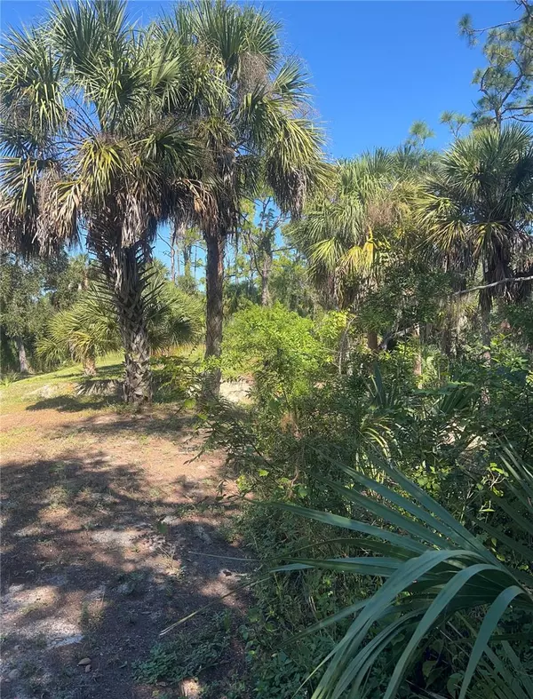 Port Charlotte, FL 33954,128 PRINEVILLE ST