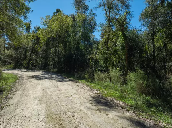 Webster, FL 33597,Lot 1 CHIPSTONE ST
