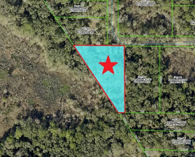 Lot 1 CHIPSTONE ST, Webster, FL 33597
