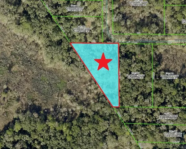 Lot 1 CHIPSTONE ST, Webster, FL 33597