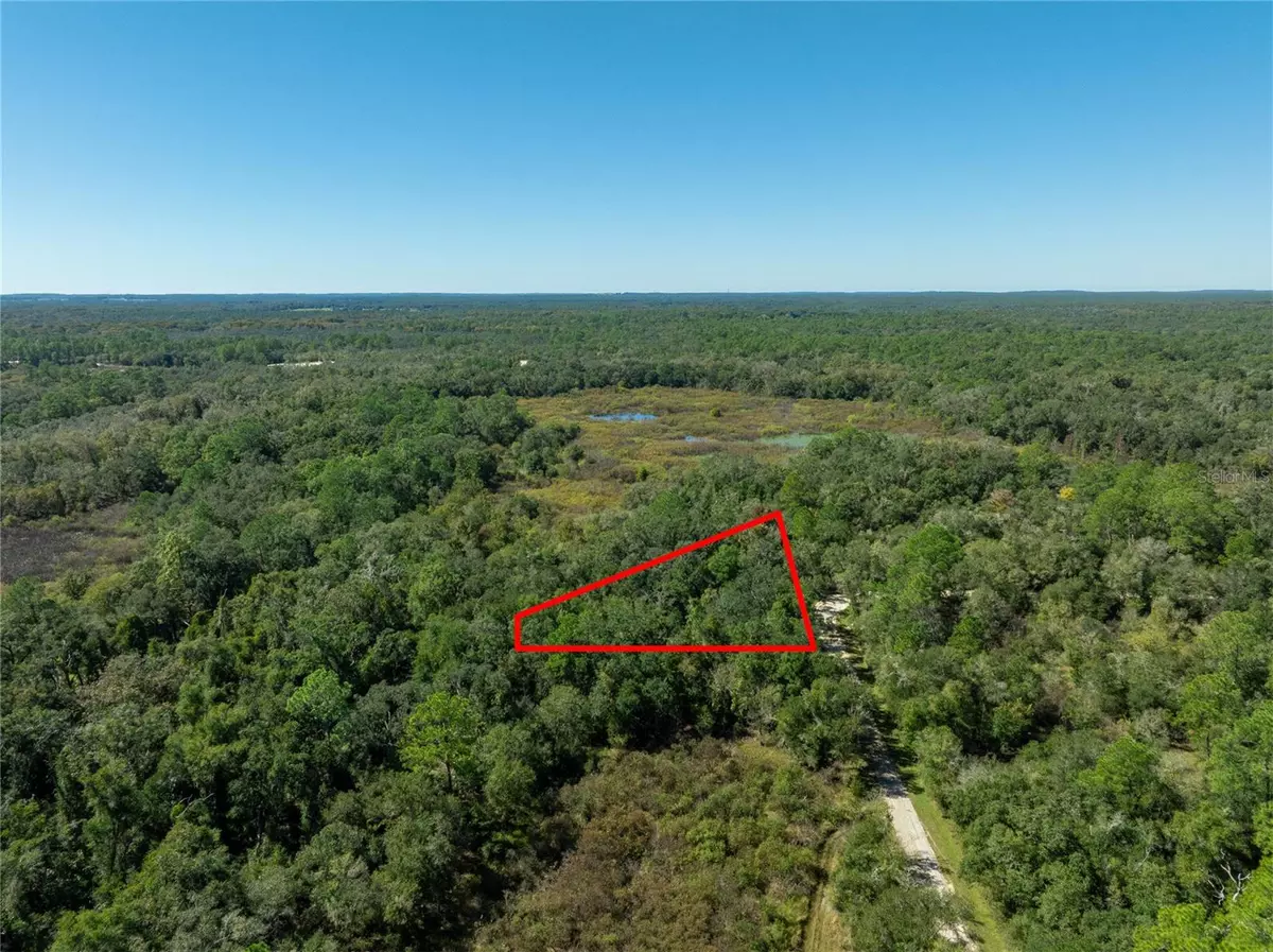 Webster, FL 33597,Lot 1 CHIPSTONE ST