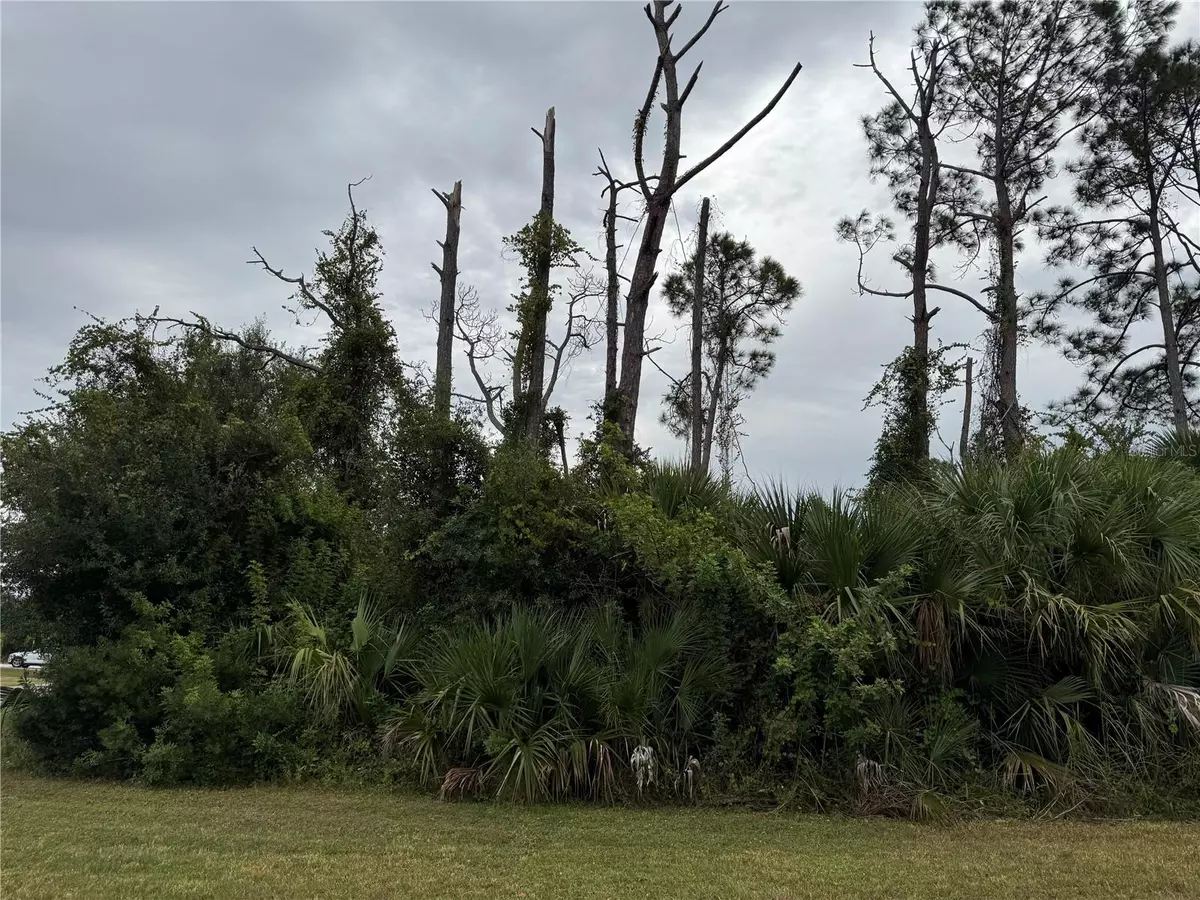 North Port, FL 34288,AMNESTY DR