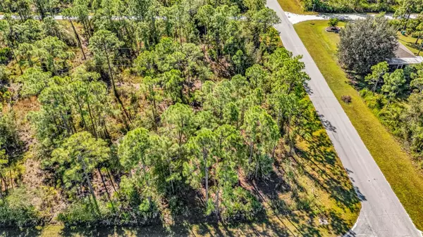 Punta Gorda, FL 33955,13388 MICHILIN AVE