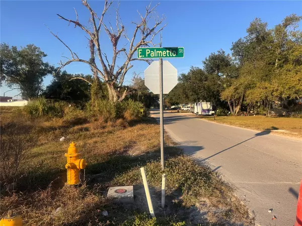 Arcadia, FL 34266,245 S BREVARD AVE