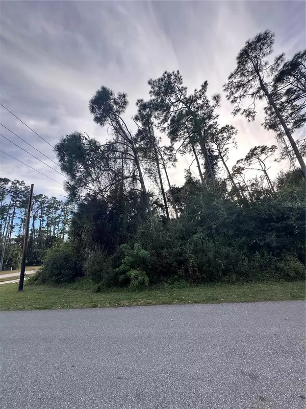 North Port, FL 34286,LOT 19 BROAD AVE