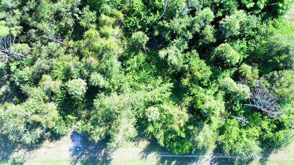 Rotonda West, FL 33947,199 COUGAR WAY