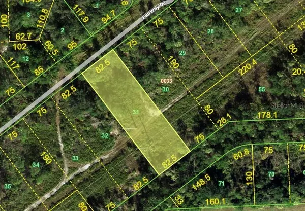 Punta Gorda, FL 33982,26430 PEACHLAND LN